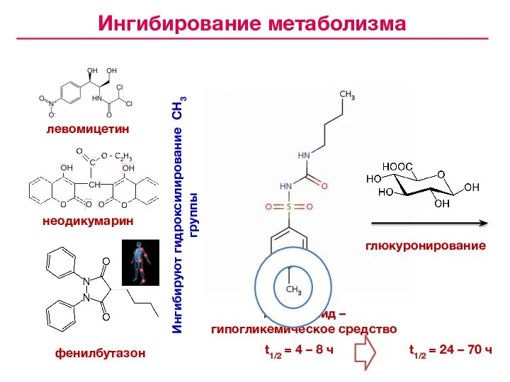 толбутамид – гипогликемическое средство левомицетин неодикумарин фенилбутазон Ингибируют гидроксилирование СН3 группы глюкуронирование