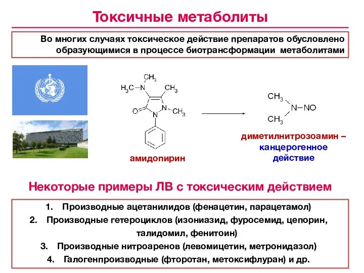 Во многих случаях токсическое действие препаратов обусловлено образующимися в процессе биотрансформации метаболитами