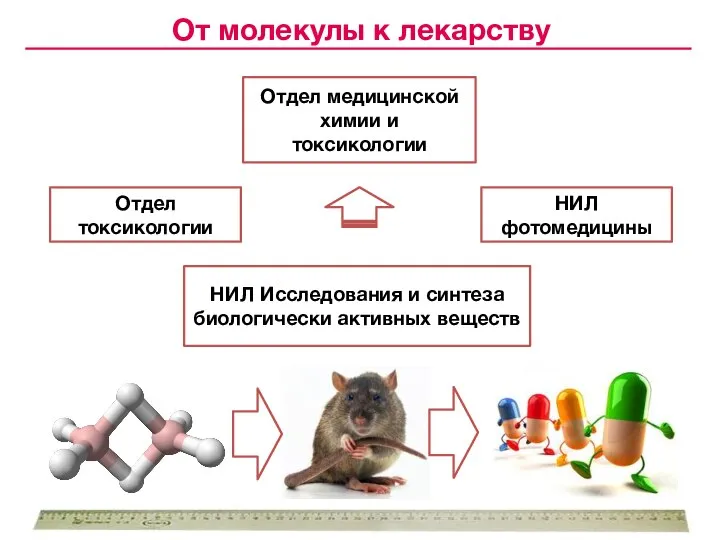 Отдел медицинской химии и токсикологии Отдел токсикологии НИЛ Исследования и синтеза биологически