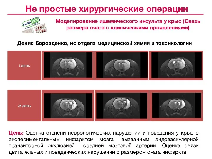 Моделирование ишемического инсульта у крыс (Связь размера очага с клиническими проявлениями) Цель: