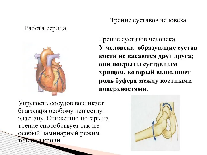 Работа сердца Упругость сосудов возникает благодаря особому веществу – эластану. Снижению потерь