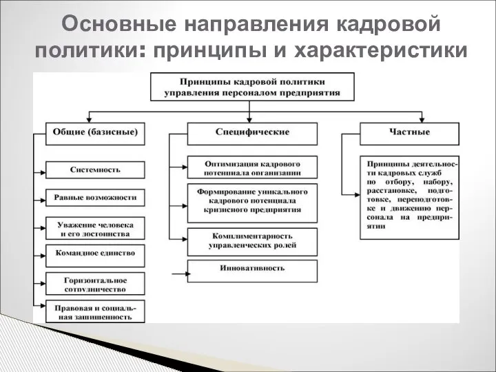 Основные направления кадровой политики: принципы и характеристики