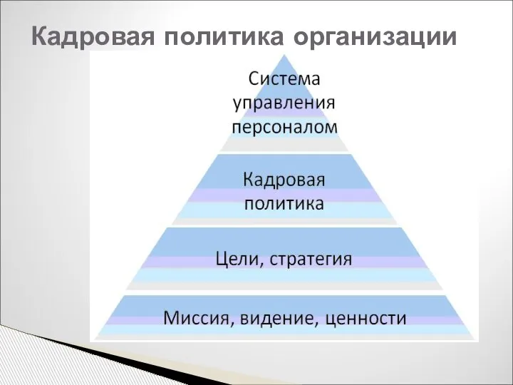 Кадровая политика организации