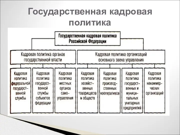 Государственная кадровая политика