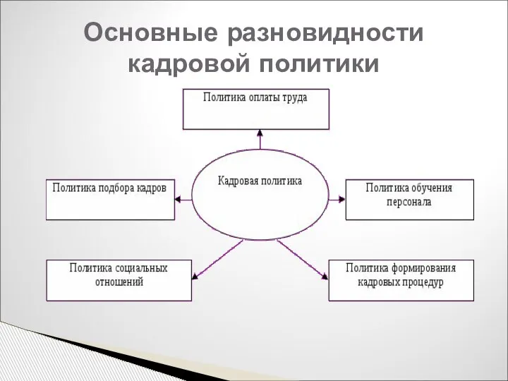 Основные разновидности кадровой политики