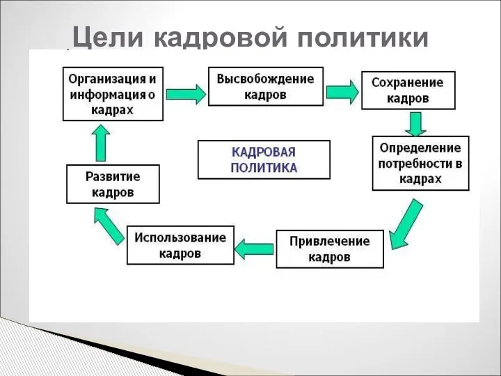 Цели кадровой политики