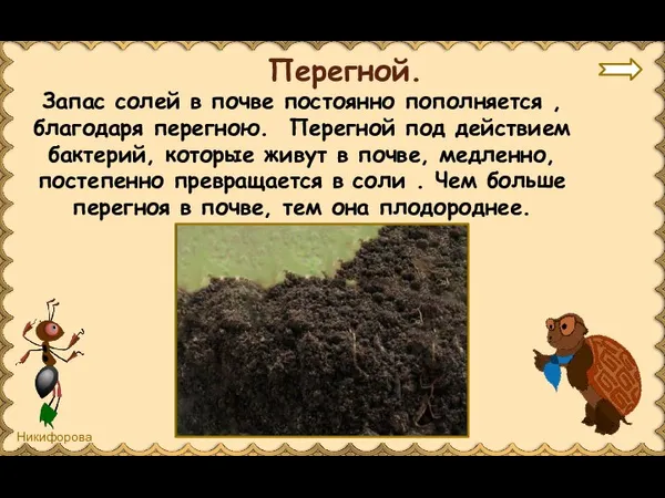 Запас солей в почве постоянно пополняется , благодаря перегною. Перегной под действием