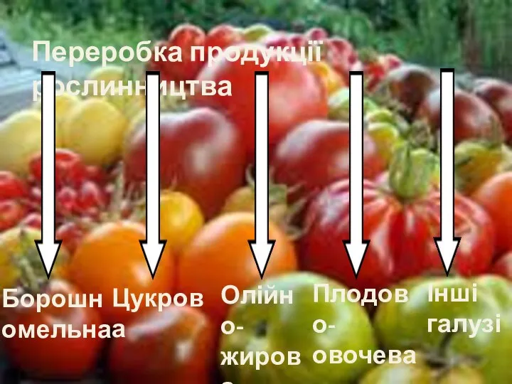 Переробка продукції рослинництва Борошномельна Цукрова Олійно-жирова Плодово-овочева Інші галузі