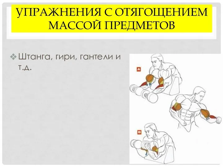 УПРАЖНЕНИЯ С ОТЯГОЩЕНИЕМ МАССОЙ ПРЕДМЕТОВ Штанга, гири, гантели и т.д.