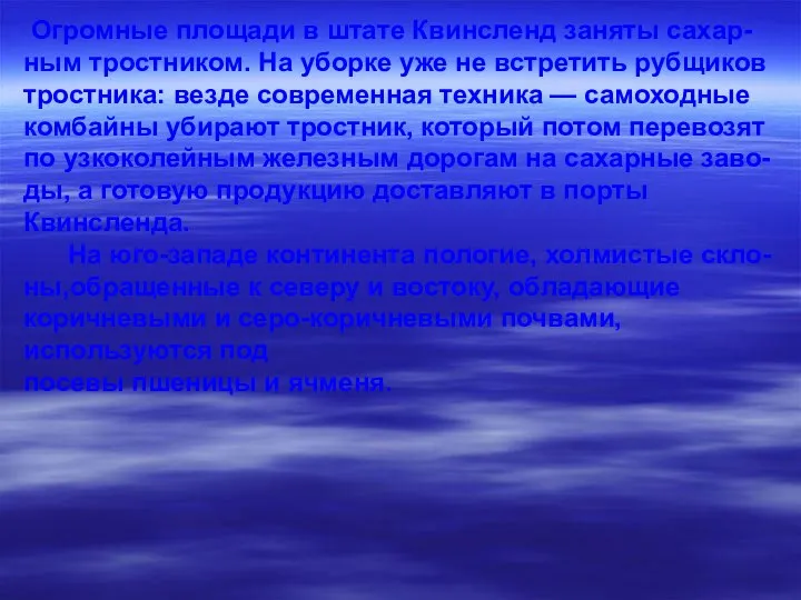 Огpомные площади в штате Квинсленд заняты сахаp- ным тpостником. На убоpке уже