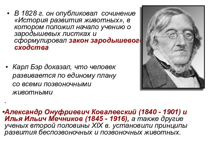 Карл Бэр доказал, что человек развивается по единому плану со всеми позвоночными