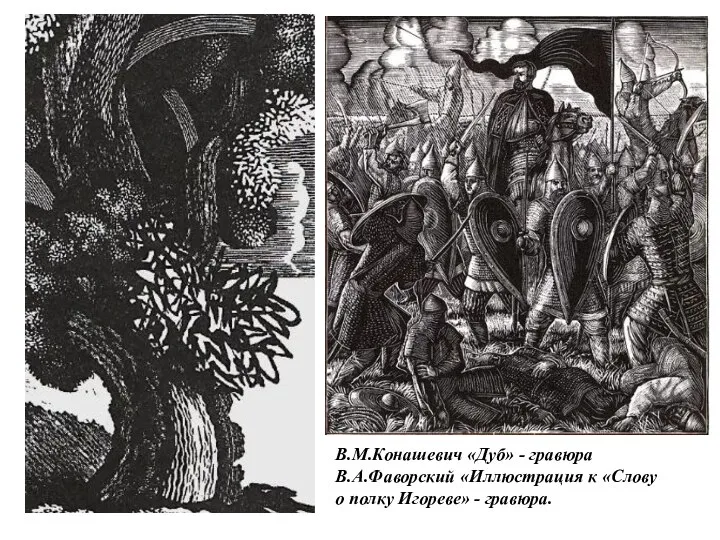 В.М.Конашевич «Дуб» - гравюра В.А.Фаворский «Иллюстрация к «Слову о полку Игореве» - гравюра.