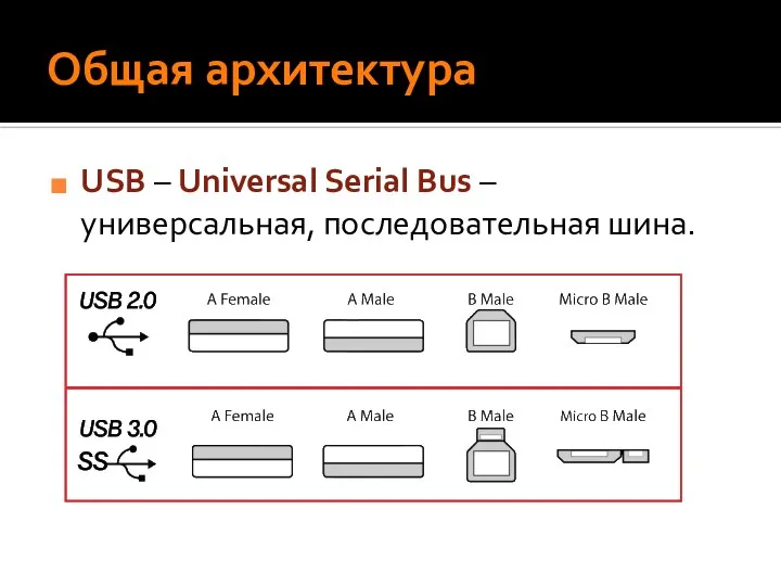 Общая архитектура USB – Universal Serial Bus – универсальная, последовательная шина.