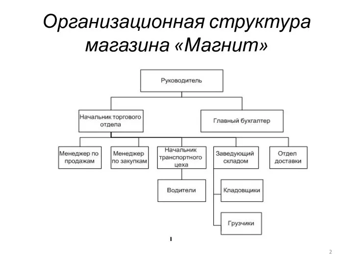 Организационная структура магазина «Магнит»