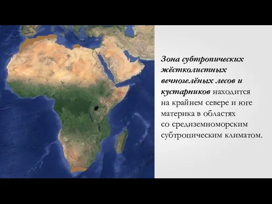 Зона субтропических жёстколистных вечнозелёных лесов и кустарников находится на крайнем севере и