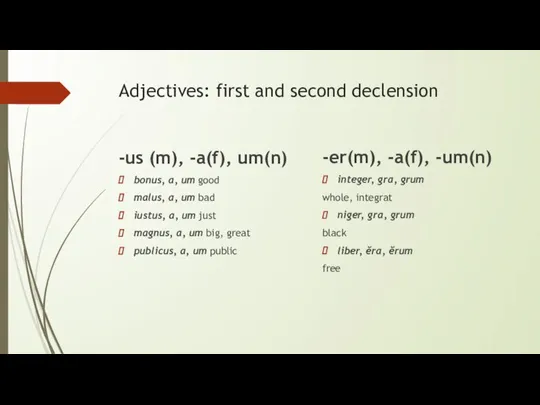 Adjectives: first and second declension -us (m), -a(f), um(n) bonus, a, um