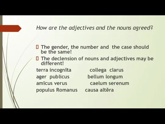 How are the adjectives and the nouns agreed? The gender, the number
