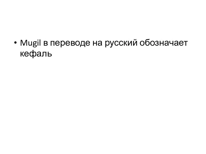 Mugil в переводе на русский обозначает кефаль