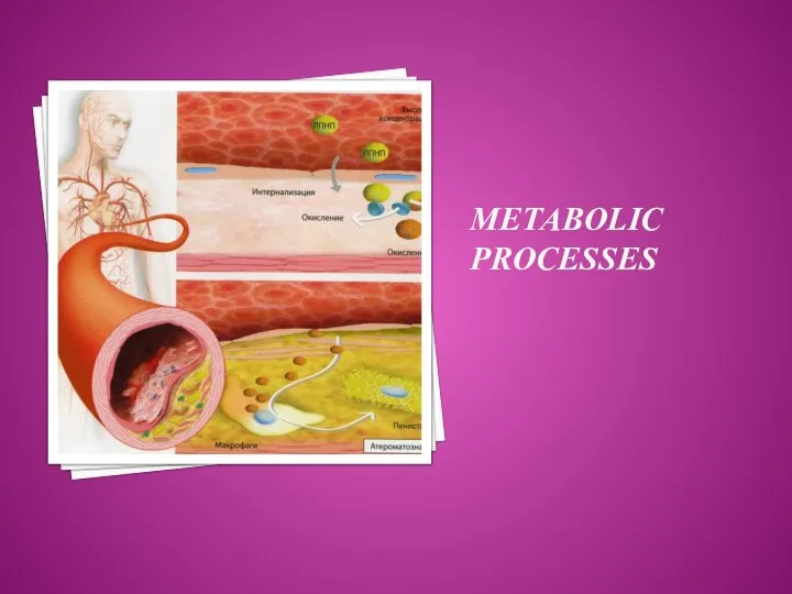 METABOLIC PROCESSES