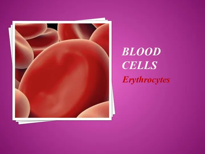 BLOOD CELLS Erythrocytes