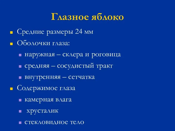 Глазное яблоко Средние размеры 24 мм Оболочки глаза: наружная – склера и