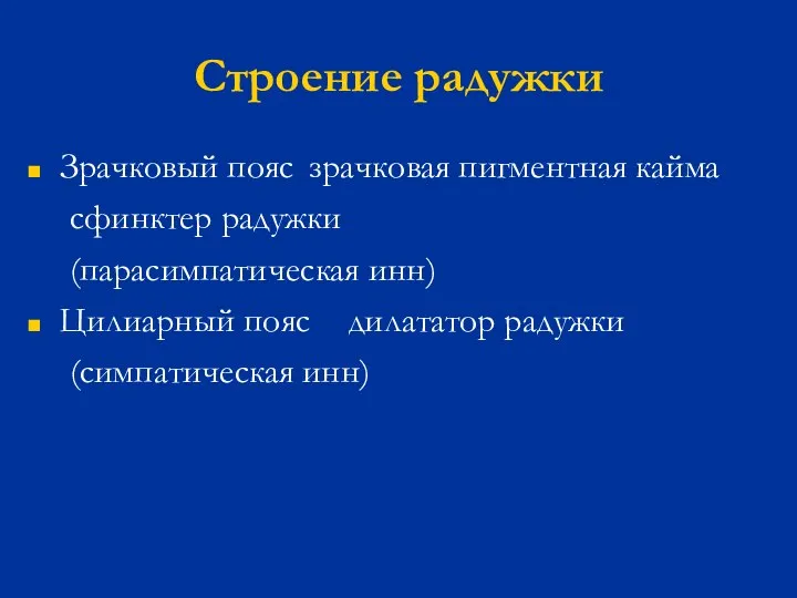 Строение радужки Зрачковый пояс зрачковая пигментная кайма сфинктер радужки (парасимпатическая инн) Цилиарный