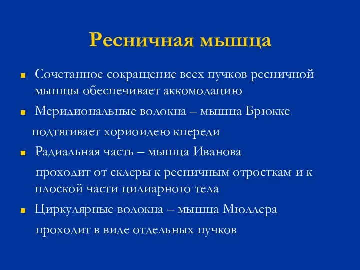 Ресничная мышца Сочетанное сокращение всех пучков ресничной мышцы обеспечивает аккомодацию Меридиональные волокна