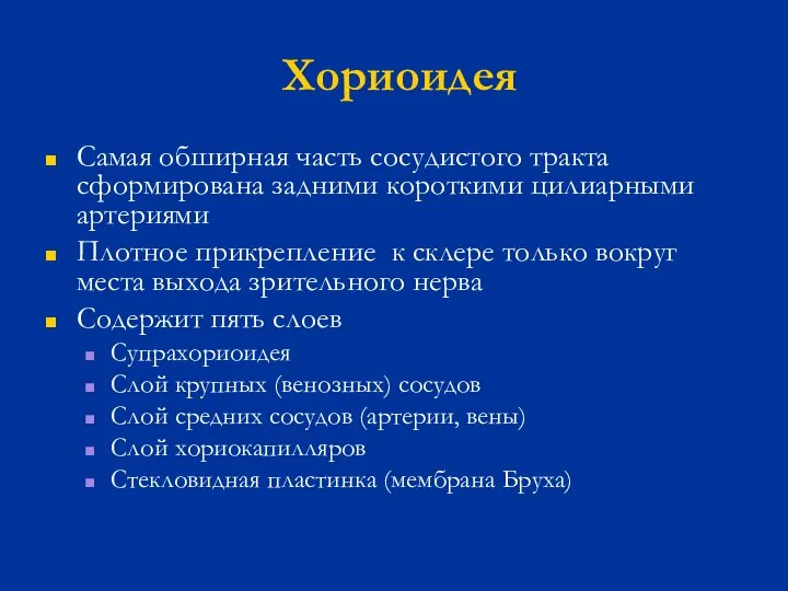 Хориоидея Самая обширная часть сосудистого тракта сформирована задними короткими цилиарными артериями Плотное