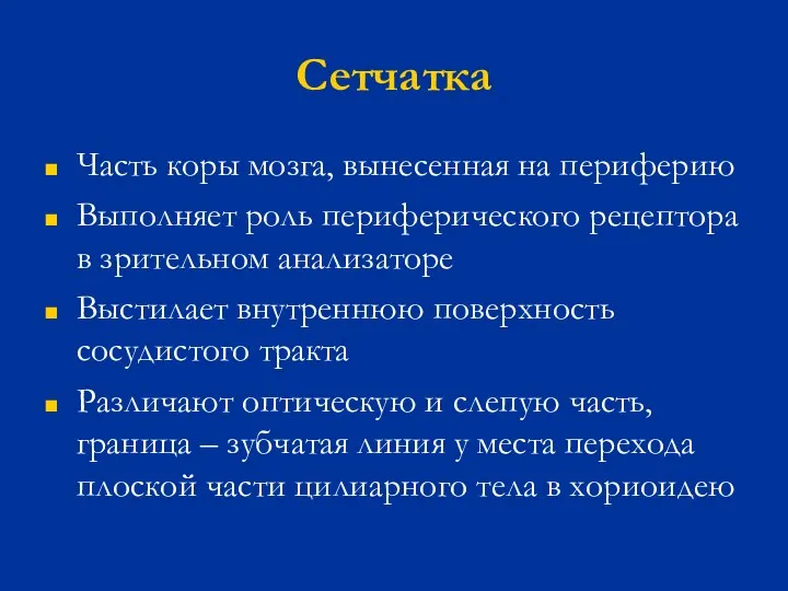 Сетчатка Часть коры мозга, вынесенная на периферию Выполняет роль периферического рецептора в