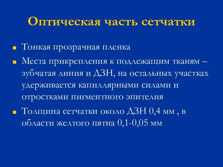 Оптическая часть сетчатки Тонкая прозрачная пленка Места прикрепления к подлежащим тканям –