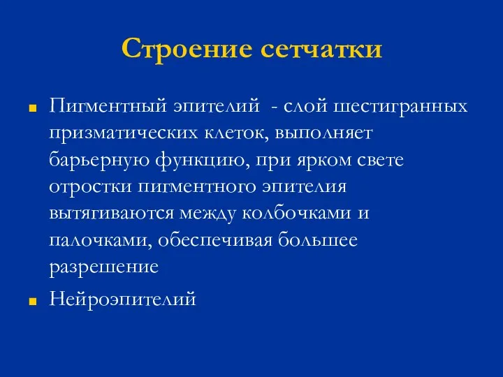 Строение сетчатки Пигментный эпителий - слой шестигранных призматических клеток, выполняет барьерную функцию,