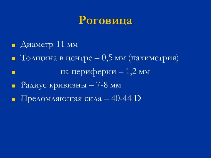 Роговица Диаметр 11 мм Толщина в центре – 0,5 мм (пахиметрия) на