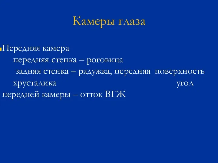 Камеры глаза Передняя камера передняя стенка – роговица задняя стенка – радужка,