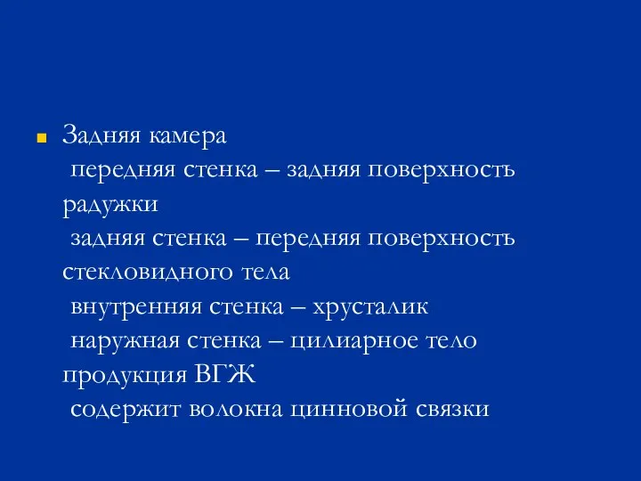 Задняя камера передняя стенка – задняя поверхность радужки задняя стенка – передняя