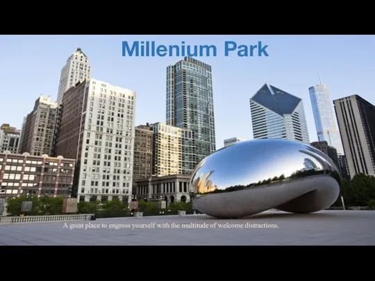 A great place to engross yourself with the multitude of welcome distractions. Millenium Park