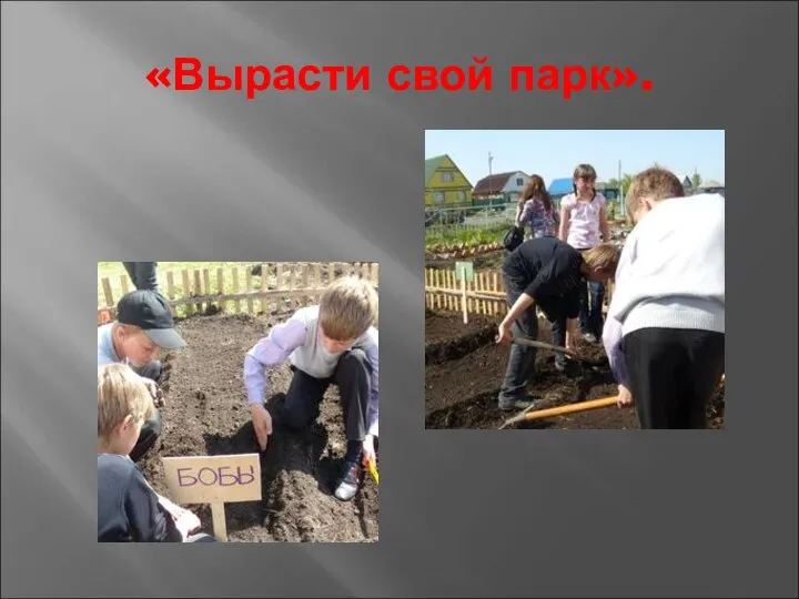 «Вырасти свой парк».