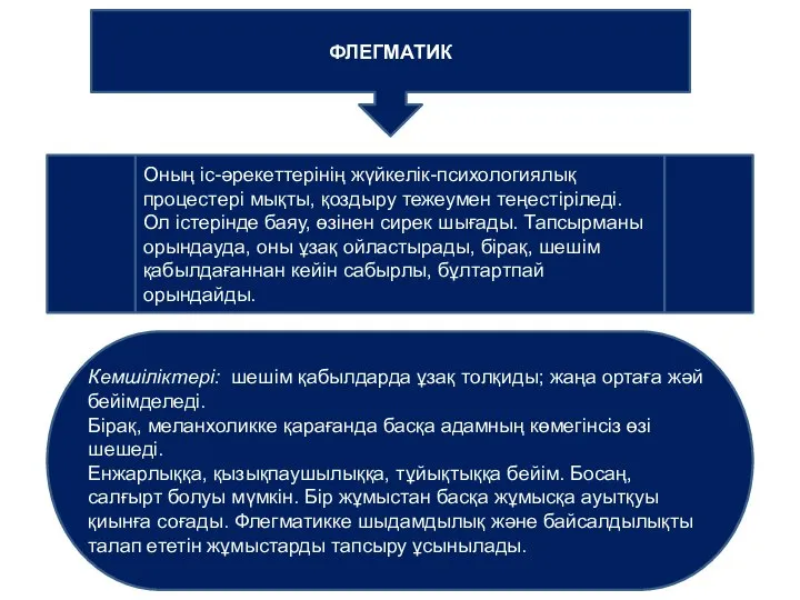 ФЛЕГМАТИК Оның іс-әрекеттерінің жүйкелік-психологиялық процестері мықты, қоздыру тежеумен теңестіріледі. Ол істерінде баяу,