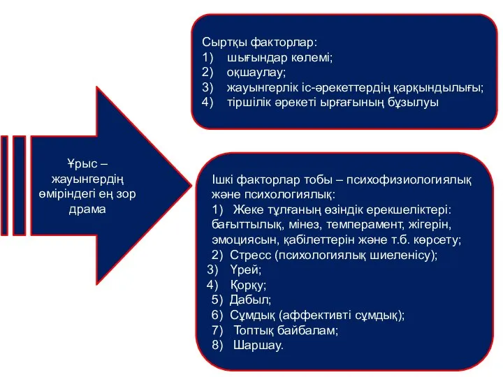 Ұрыс – жауынгердің өміріндегі ең зор драма Сыртқы факторлар: 1) шығындар көлемі;