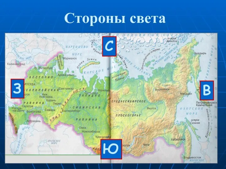 Стороны света