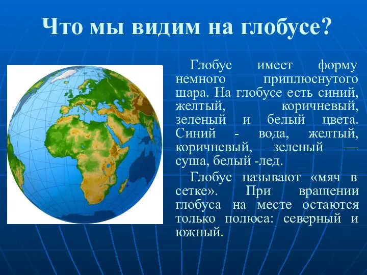 Что мы видим на глобусе? Глобус имеет форму немного приплюснутого шара. На