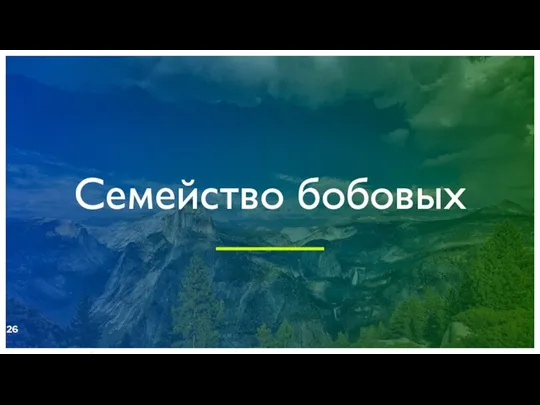 Семейство бобовых ДОБАВИТЬ НИЖНИЙ КОЛОНТИТУЛ