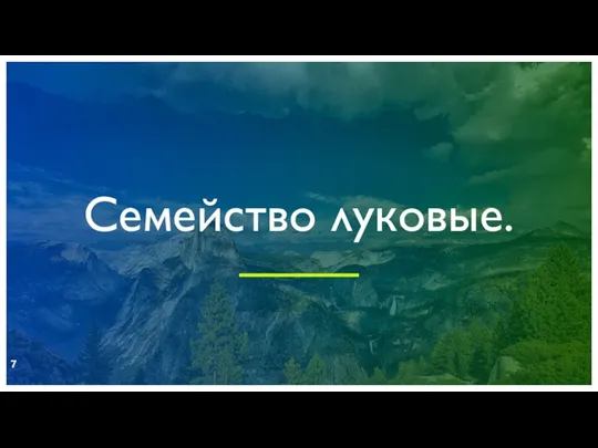 Семейство луковые. ДОБАВИТЬ НИЖНИЙ КОЛОНТИТУЛ