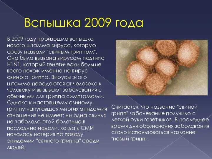 Вспышка 2009 года В 2009 году произошла вспышка нового штамма вируса, которую