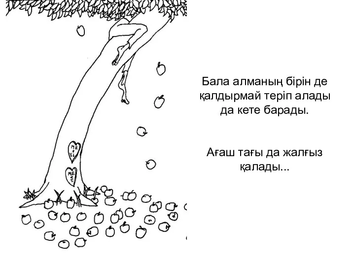 Бала алманың бірін де қалдырмай теріп алады да кете барады. Ағаш тағы да жалғыз қалады...