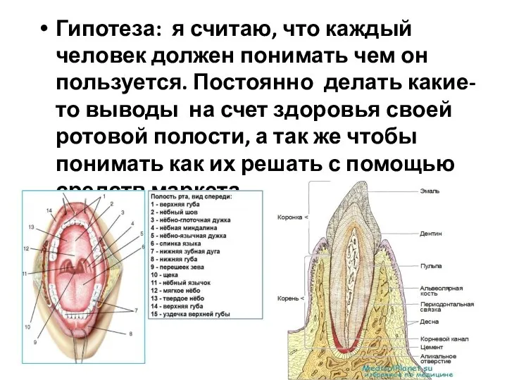 Гипотеза: я считаю, что каждый человек должен понимать чем он пользуется. Постоянно