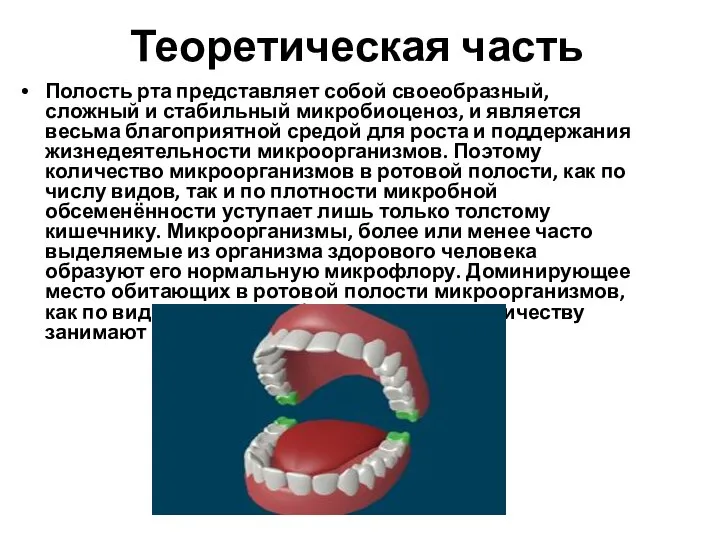Теоретическая часть Полость рта представляет собой своеобразный, сложный и стабильный микробиоценоз, и