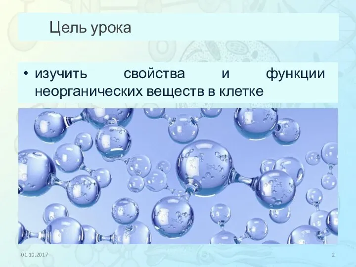 Цель урока изучить свойства и функции неорганических веществ в клетке 01.10.2017