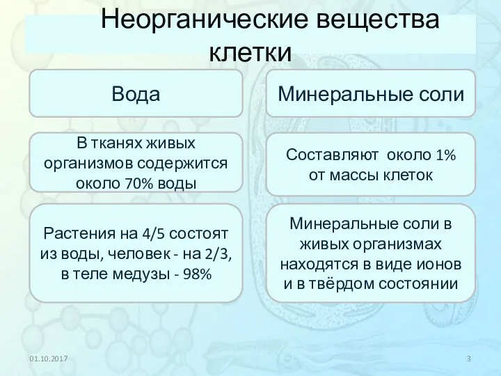 Неорганические вещества клетки 01.10.2017 Вода Минеральные соли В тканях живых организмов содержится