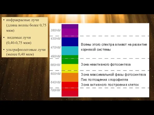 инфракрасные лучи (длина волны более 0,75 мкм) видимые лучи (0,40-0,75 мкм) ультрафиолетовые лучи (менее 0,40 мкм)