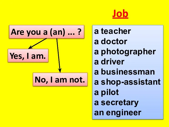 Job a teacher a doctor a photographer a driver a businessman a